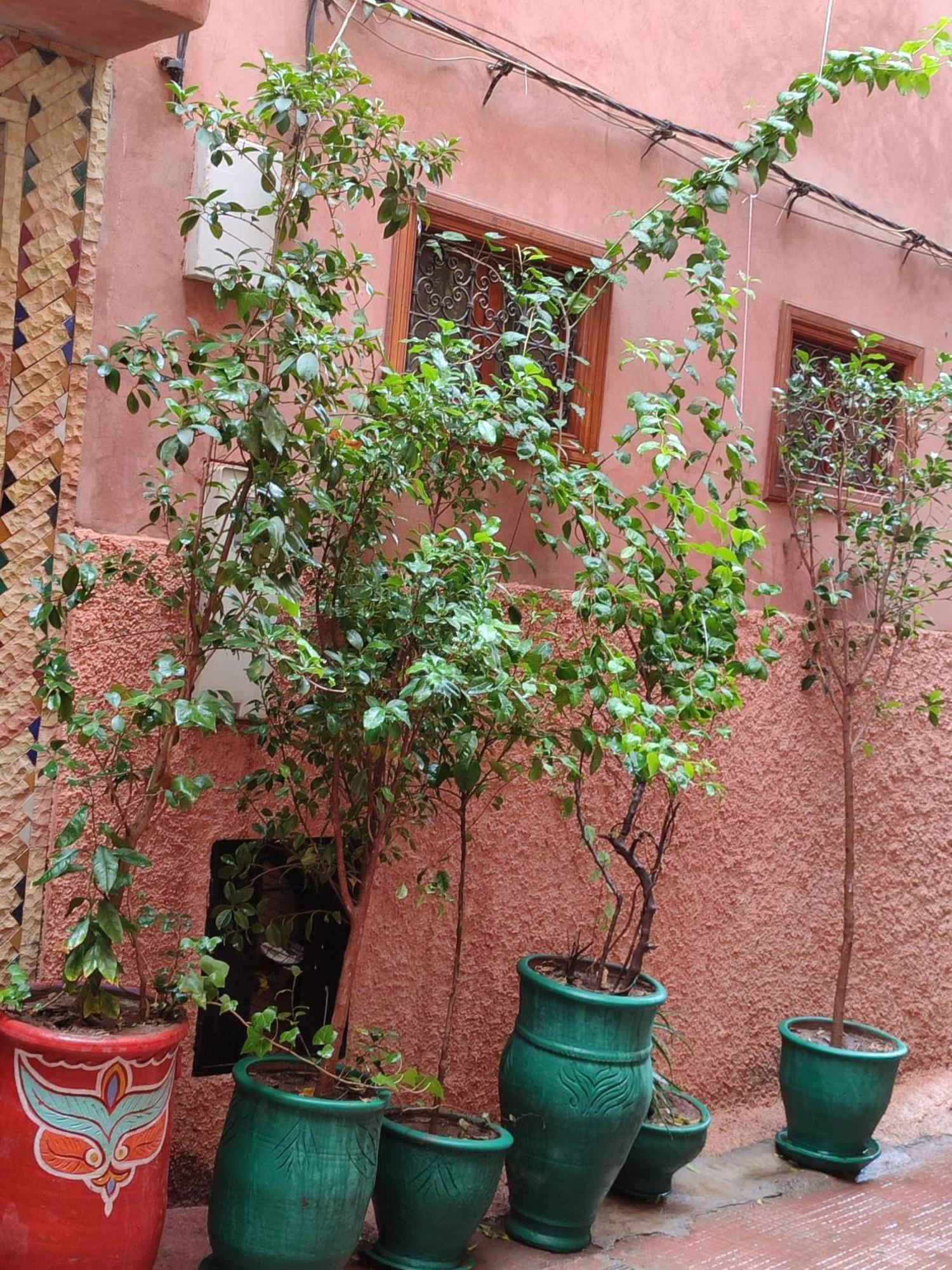Riad Zahri Marraquexe Exterior foto